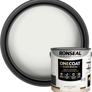 Winter Frost Paint
