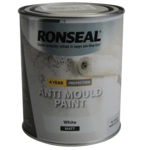 Anti Mould Paint